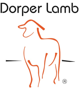 Dorper Lamb logo
